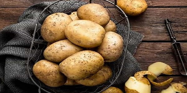 تصویر 2 از خرید و فروش سیب زمینی سانتا با شرایط فوق العاده